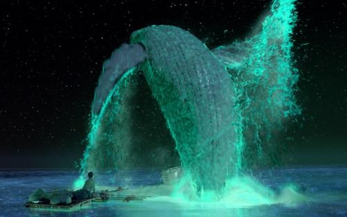 关于少年派奇幻之旅的思考