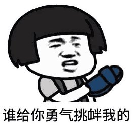 我家人给我的勇气