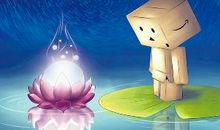 用一朵花开的时间去诠释生命