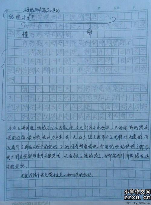写关于奶奶的作文