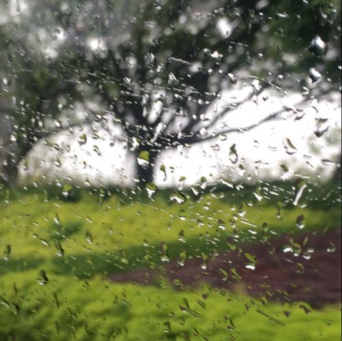 想象在雨中