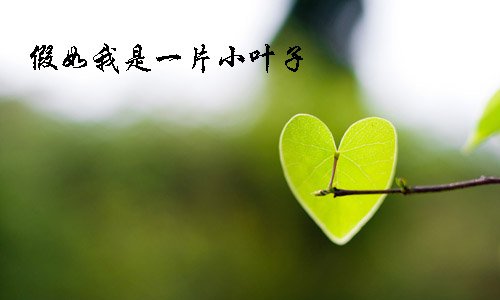 在旅途作文中散布青春的绿色600字