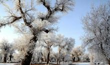 雪是岁月的痕迹