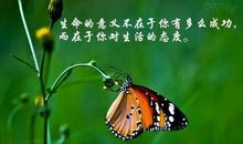 读懂生命的意义