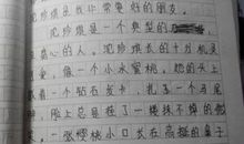 我的好伙伴作文200字