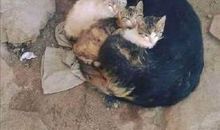 秋韵深深深几许