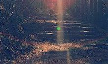 冬日里的一抹阳光