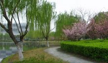 一年四季的校园