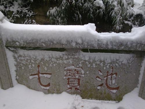 看雪