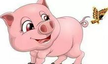 不爱学习的小猪