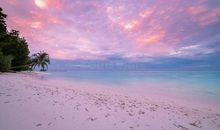 不同寻常的假日