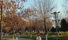 让心灵沐浴阳光