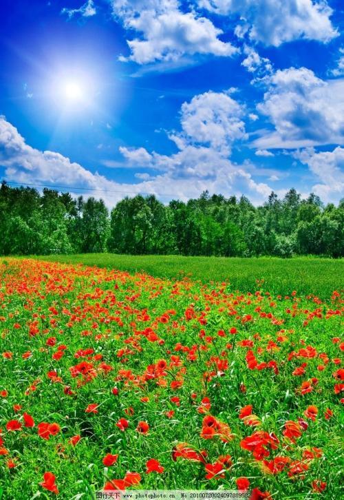 我在大自然中看着太阳
