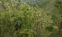 谁不说咱家乡好