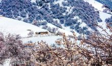 当夏天遇到冬天