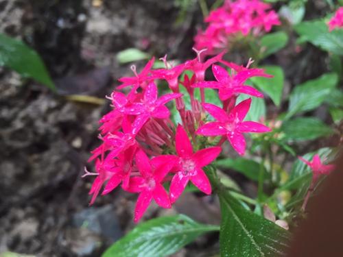 丰富多彩的生活