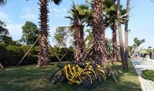 成长路上烦恼多