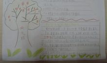 有关气象的作文