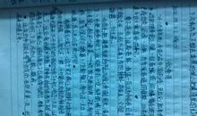 暑假趣事作文300字三年级