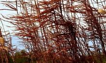 思念，也是一种幸福