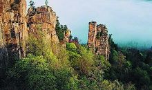 肩负重任展望未来