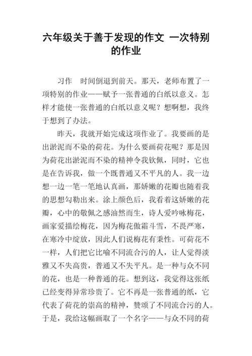 500个单词的特殊作业