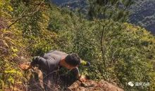 一路上披荆斩棘