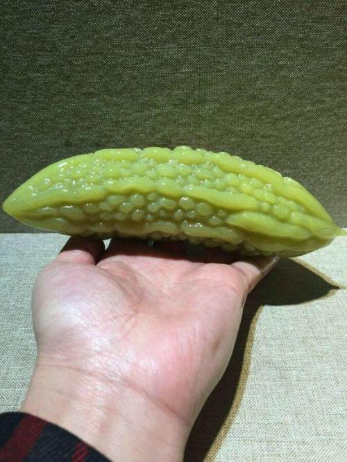 卖苦瓜的知识
