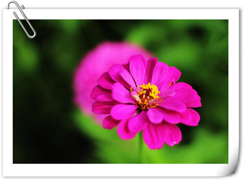中秋节