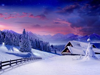 在雪里