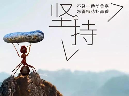 有一种力量叫做爱
