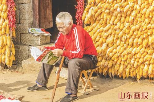 知识就是财富