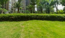 美好的家园需要良好的环境