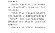 不能说谎的小镇读后感