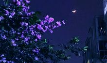 语文课上的抢答