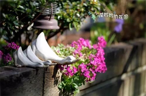 母亲的花园