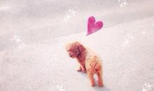 拥有亲情，我很幸福