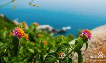 在没有“阳光”的日子里