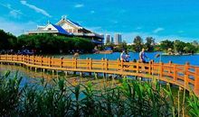 五缘湾湿地公园