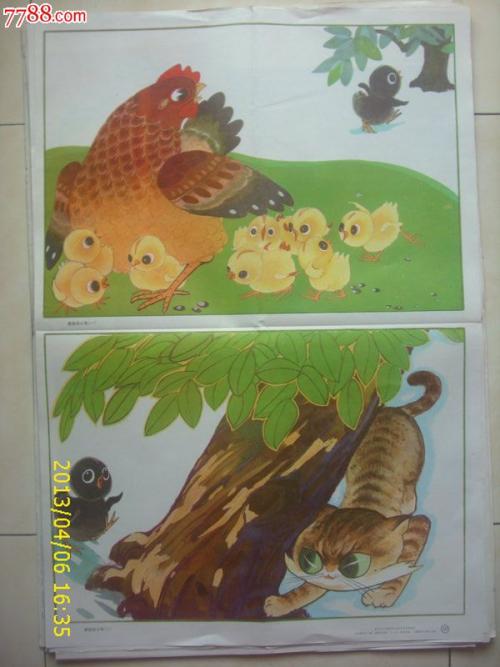 离群小鸡