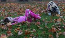 有您陪伴我真幸运