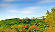 记忆深处的那个瞬间