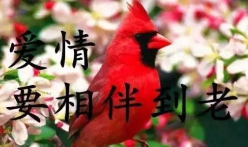 宽容和温暖