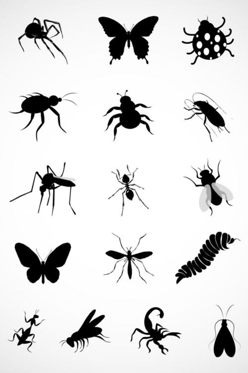 小虫子和蛋壳蝴蝶