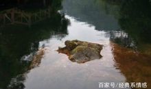 流连自然，真好