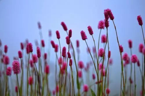 精确性也是期望