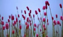 苛求也是一种期望