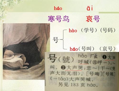 汉昊伯德继续写二年级的故事