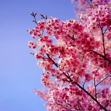 春风拂动我的心弦