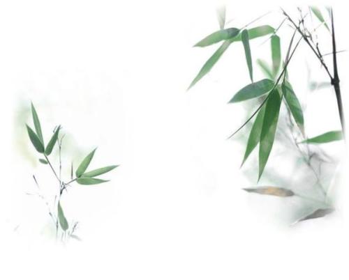 赞美青竹